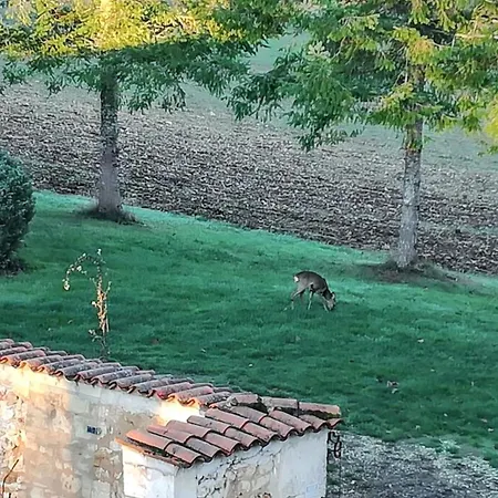 Nyaraló Maison De Charme A En Perigord Avec Piscine Partagee *