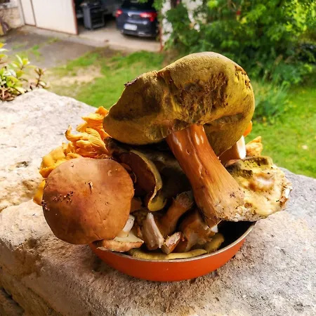 Maison De Charme A En Perigord Avec Piscine Partagee * Brantôme